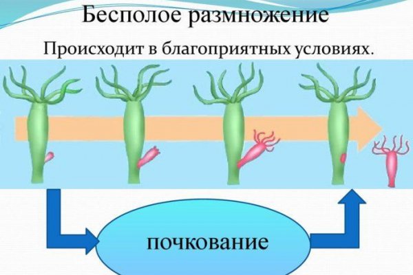 Кракен даркнет ссылка на сайт